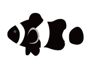 黒いカクレクマノミ 海の生き物フリーイラスト素材集 海の仲間たち