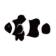 黒いカクレクマノミ ブラックオセラリス