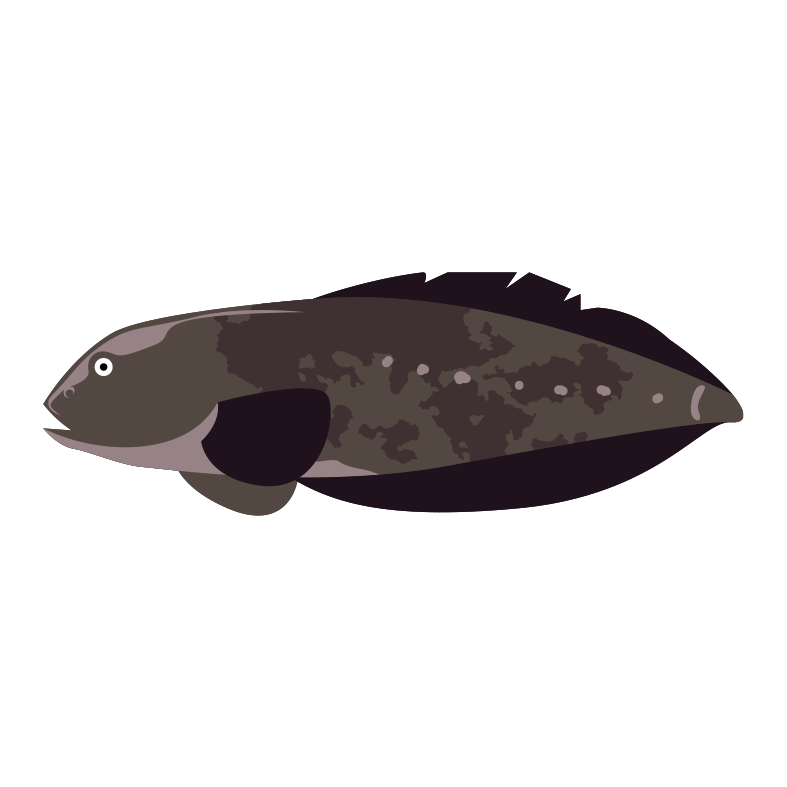 Htbp3c3ikn2vvm Htbp3c3ikn2vvm