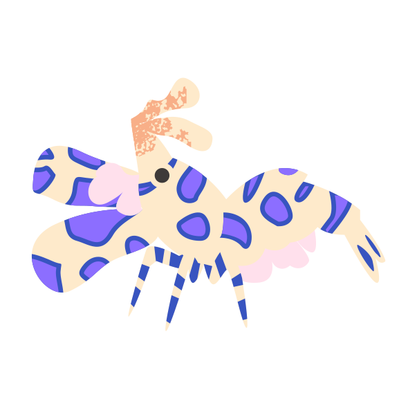 フリソデエビ 海の仲間たち 海の生き物フリーイラスト素材集