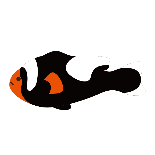 トウアカクマノミ 海の生き物フリーイラスト素材集 海の仲間たち