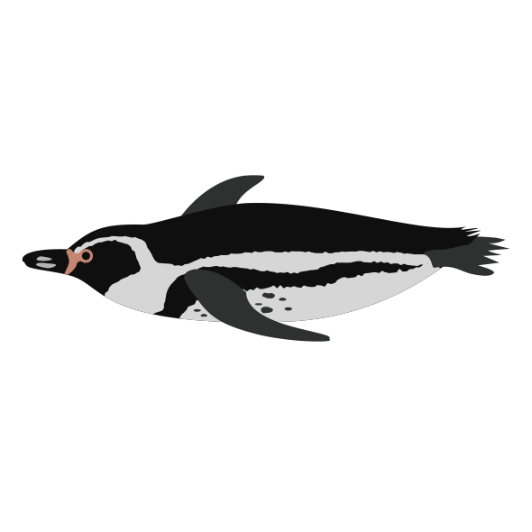 フンボルトペンギン 海の生き物フリーイラスト素材集 海の仲間たち