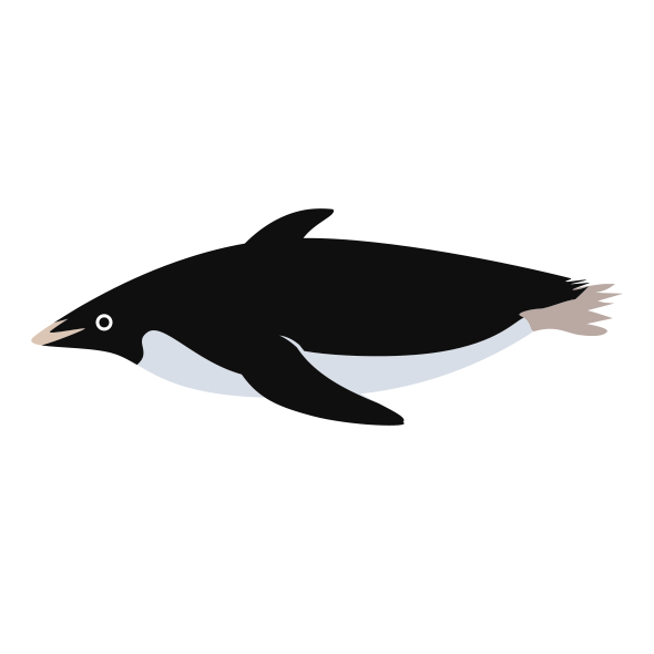アデリーペンギンのイラスト