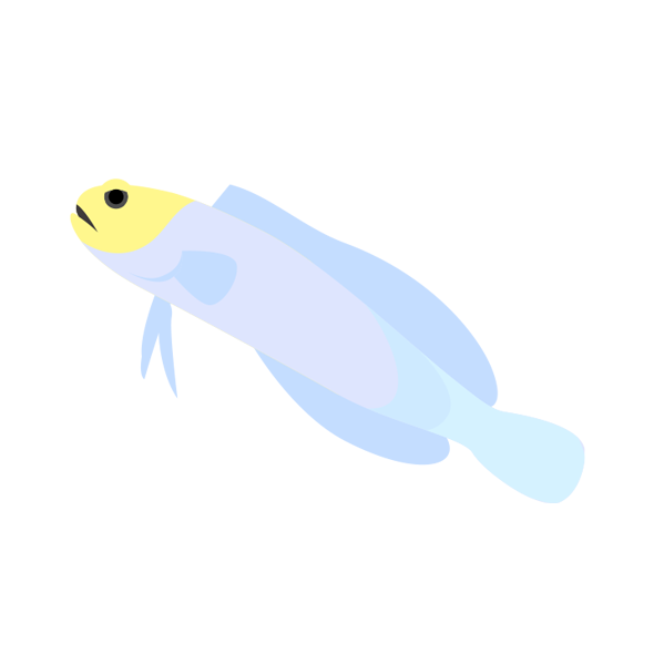 イエローヘッドジョーフィッシュ 海の生き物フリーイラスト素材集 海の仲間たち