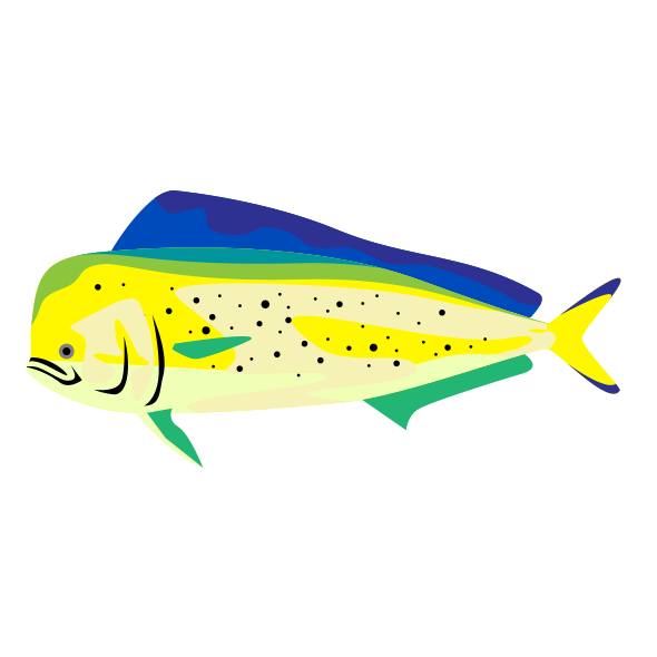 シイラ 海の生き物フリーイラスト素材集 海の仲間たち