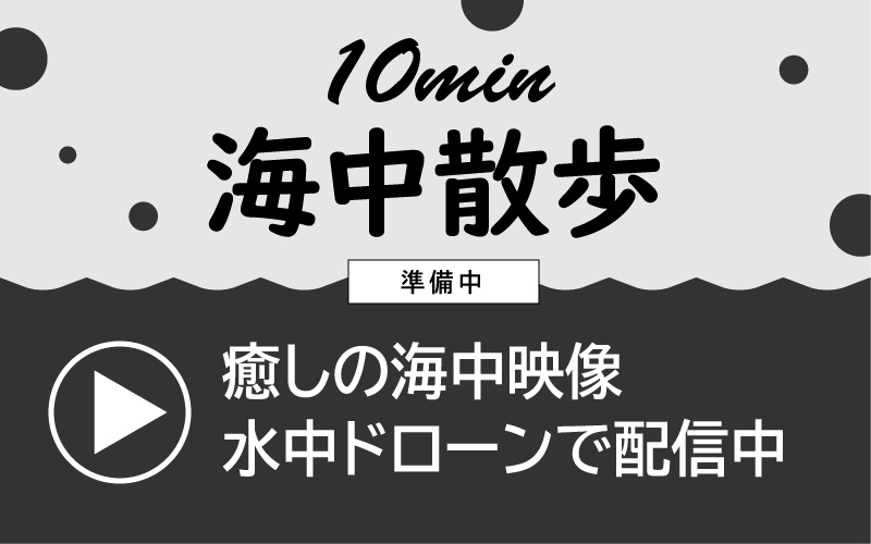 海の生き物フリーイラスト素材集 海の仲間たち