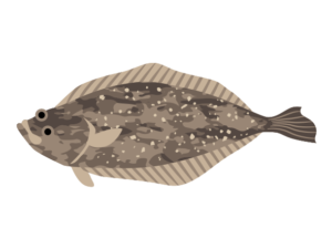 魚類 海の生き物フリーイラスト素材集 海の仲間たち