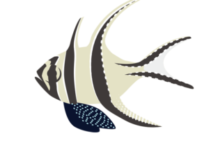 最初にバがつく 海の生き物フリーイラスト素材集 海の仲間たち