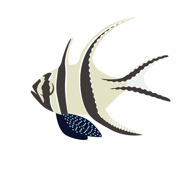 バンガイカーディナルフィッシュ 海の生き物フリーイラスト素材集 海の仲間たち