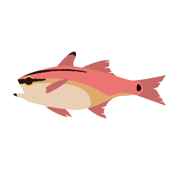 ネンブツダイ 海の生き物フリーイラスト素材集 海の仲間たち