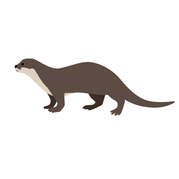 コツメカワウソ B 無料イラスト 海の仲間たち 海の生き物フリーイラスト素材集