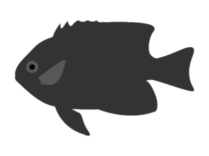 黒 海の生き物フリーイラスト素材集 海の仲間たち