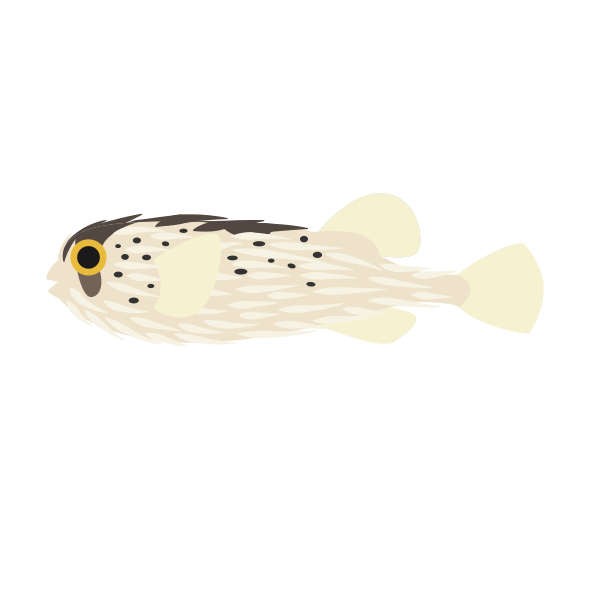 ハリセンボンa 海の生き物フリーイラスト素材集 海の仲間たち