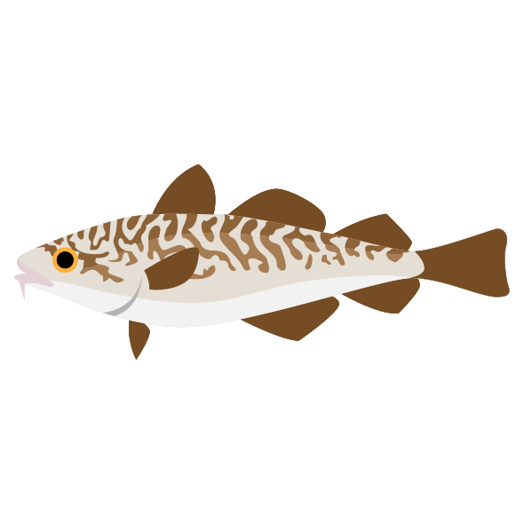 マダラ » 無料イラスト-海の仲間たち-海の生き物フリーイラスト素材集
