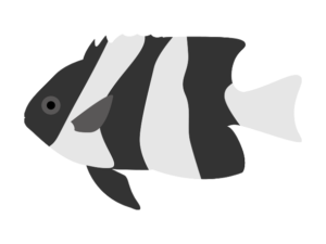 熱帯魚 海の仲間たち 海の生き物フリーイラスト素材集 熱帯魚 海の仲間たち 海の生き物フリーイラスト素材集