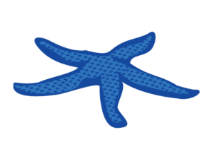 海の生き物フリーイラスト素材集 海の仲間たち