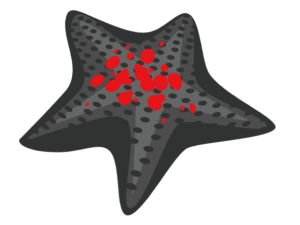 岩礁 海の生き物フリーイラスト素材集 海の仲間たち