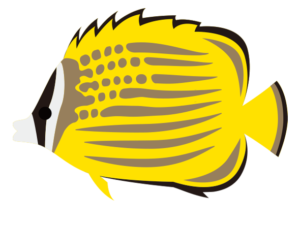 熱帯魚 海の仲間たち 海の生き物フリーイラスト素材集 熱帯魚 海の仲間たち 海の生き物フリーイラスト素材集