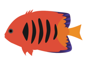 青 海の生き物フリーイラスト素材集 海の仲間たち 青 海の生き物フリーイラスト素材集 海の仲間たち