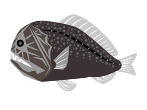 深海魚 海の仲間たち 海の生き物フリーイラスト素材集
