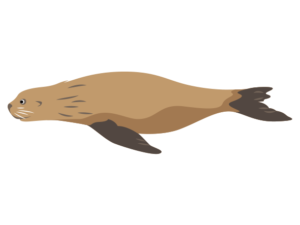 かっこいい 海の仲間たち 海の生き物フリーイラスト素材集