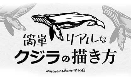 ザトウクジラの描き方-イラスト動画
