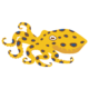 ヒョウモンダコ-豹紋蛸のイラスト