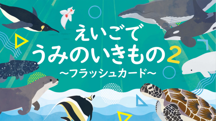 海の生き物フラッシュカード知育動画