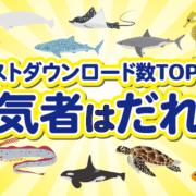 おすすめ 海の生き物のイラストダウンロードランキングTOP15