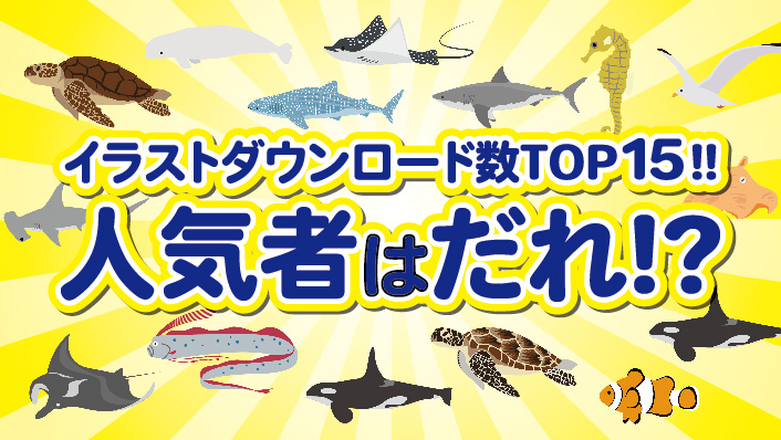 おすすめ 海の生き物のイラストダウンロードランキングTOP15
