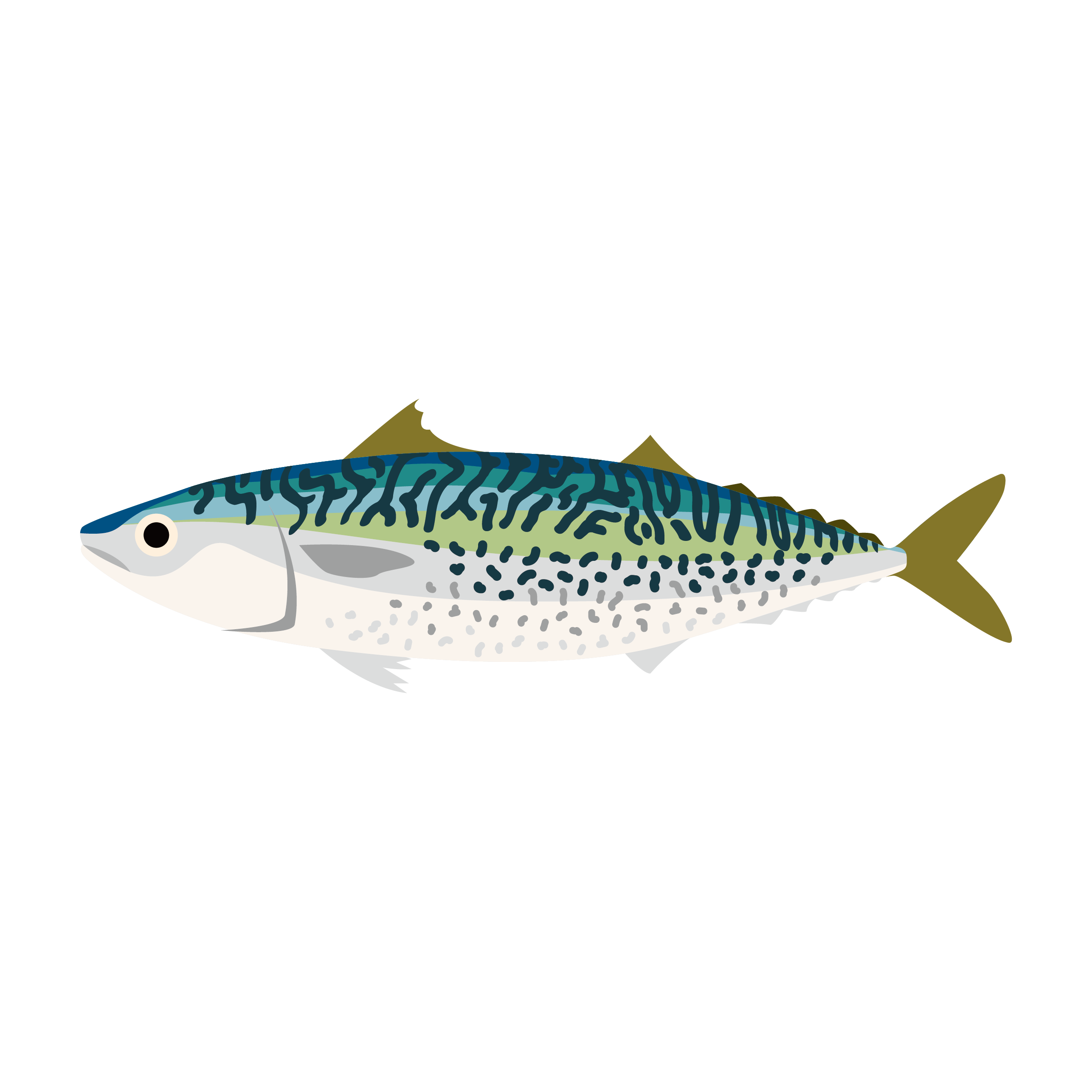 ゴマサバ » 海の仲間たち® | 海の生き物 無料フリーイラスト素材集|登録不要・商用OK