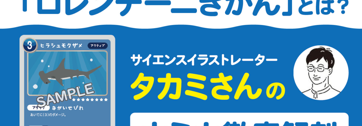 サイエンスイラストレータータカミさんのウミカ徹底解剖～ヒラシュモクザメのロレンチーニきかん