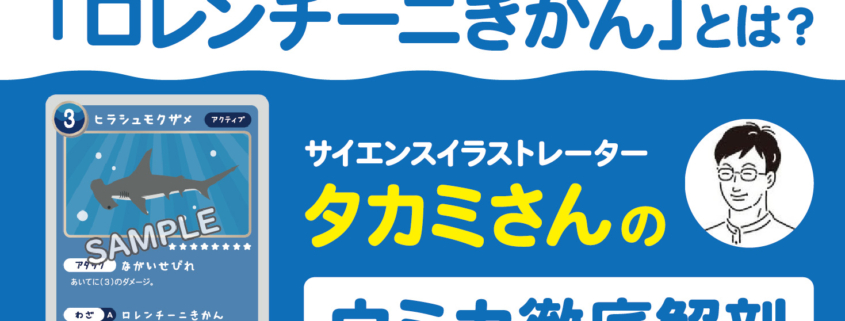 サイエンスイラストレータータカミさんのウミカ徹底解剖～ヒラシュモクザメのロレンチーニきかん