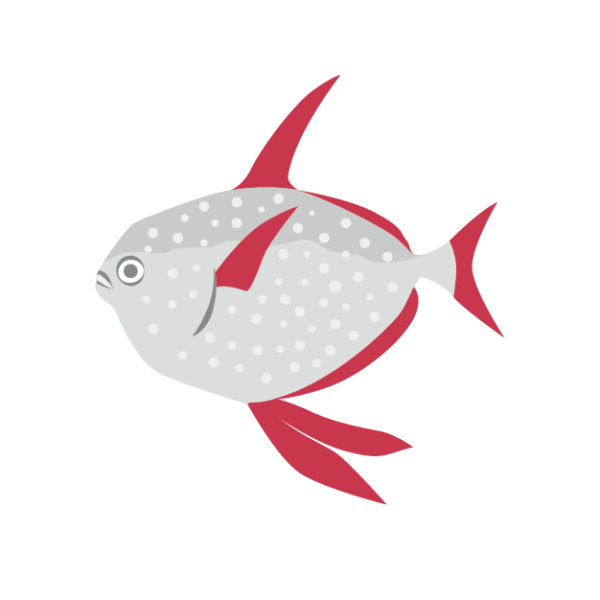 アカマンボウのイラスト 深海魚