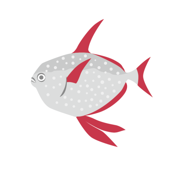 アカマンボウのイラスト