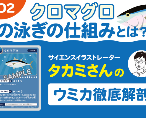 トレーディングカードゲーム海の仲間たち-クロマグロの泳ぎの仕組み-カードの効果