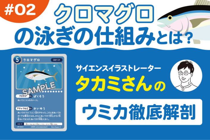 トレーディングカードゲーム海の仲間たち-クロマグロの泳ぎの仕組み-カードの効果